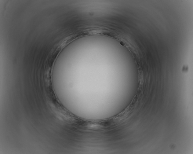 X0000093530360200710121154