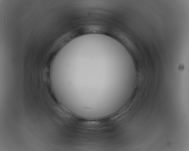 X0000093530361200710121154