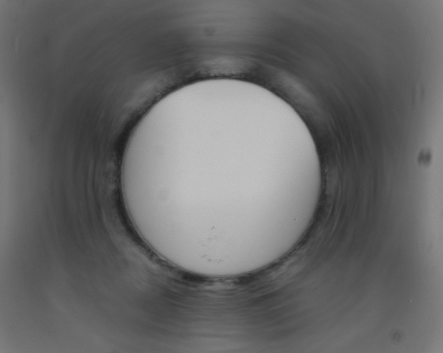 X0000093530362200710121154