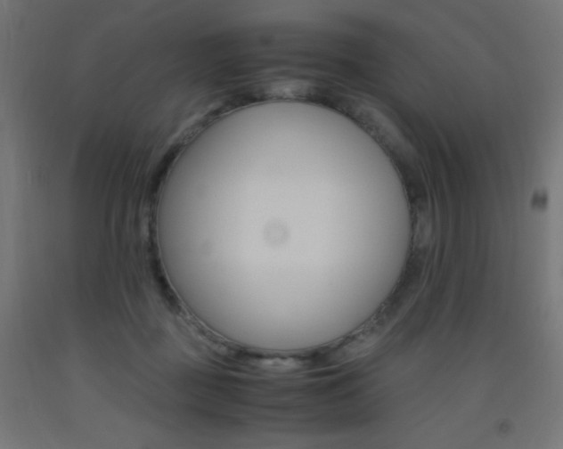 X0000093530363200710121154