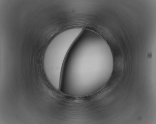 X0000093530364200710121154