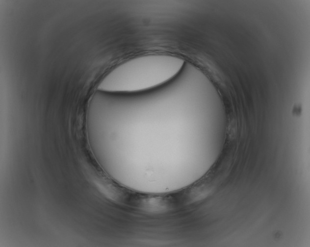 X0000093530365200710121154