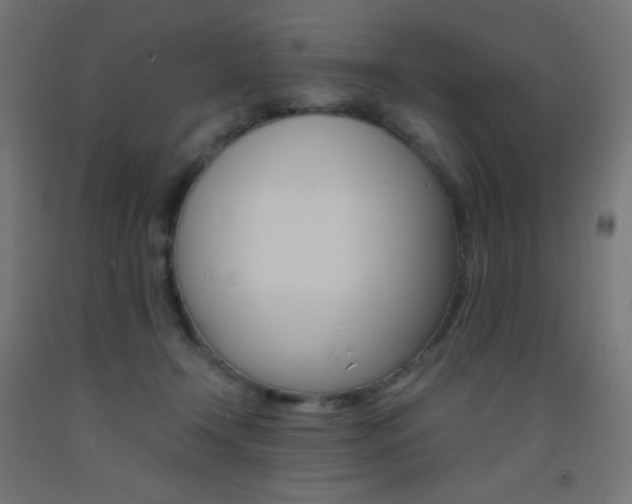 X0000093530366200710121154