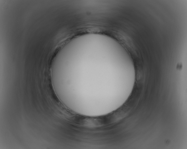 X0000093530367200710121154