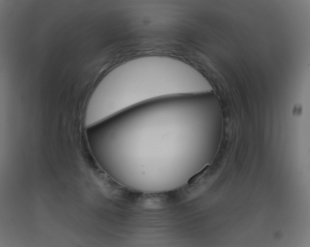 X0000093530368200710121154