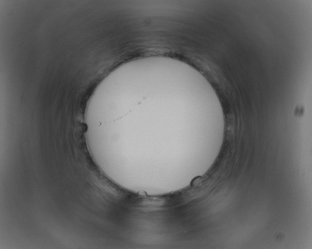 X0000093530369200710121154