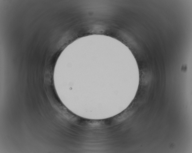 X0000093530370200710121154