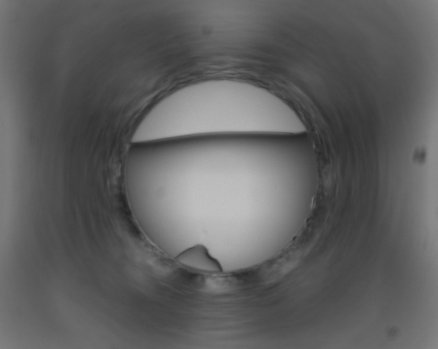 X0000093530372200710121154
