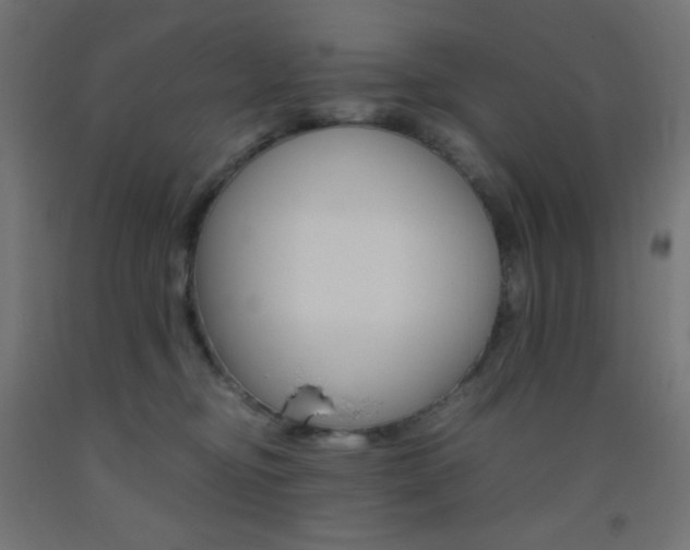 X0000093530374200710121154