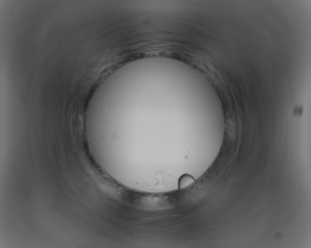 X0000093530375200710121154
