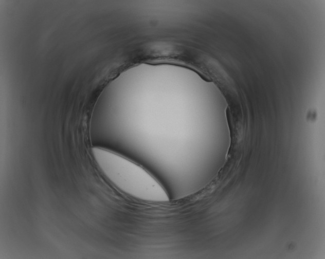 X0000093530376200710121154