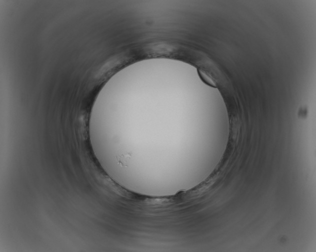 X0000093530378200710121154