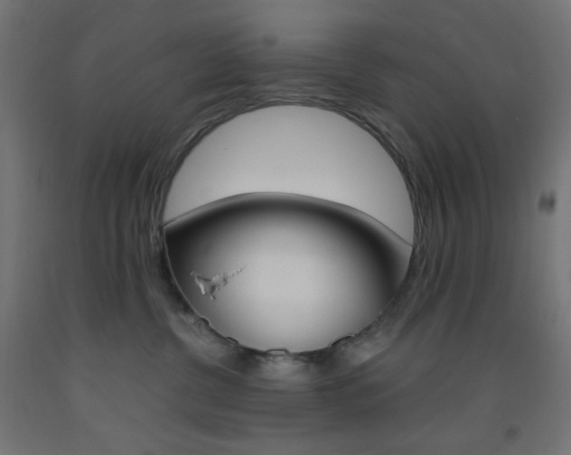 X0000093530380200710121154