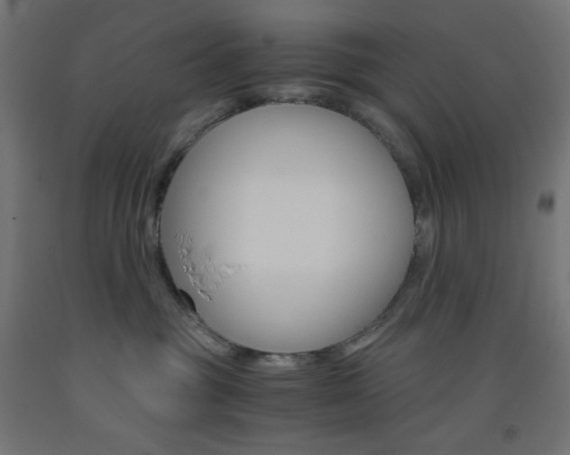 X0000093530381200710121154