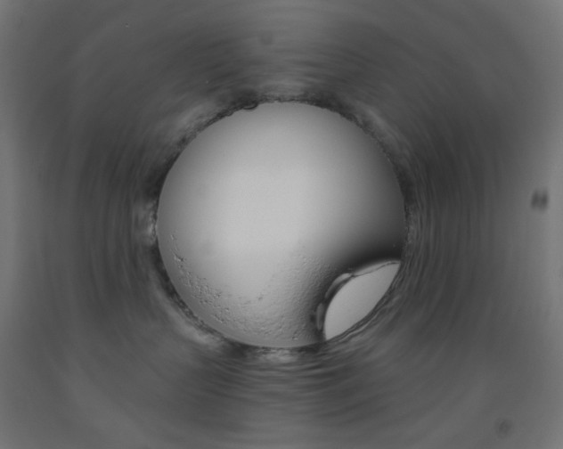 X0000093530383200710121154