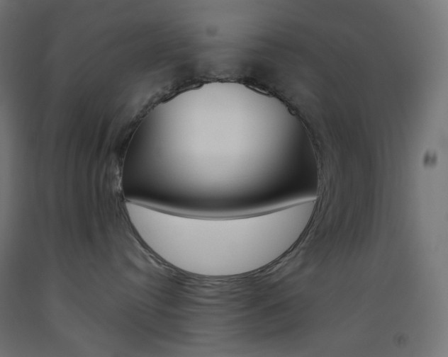 X0000093530384200710121154