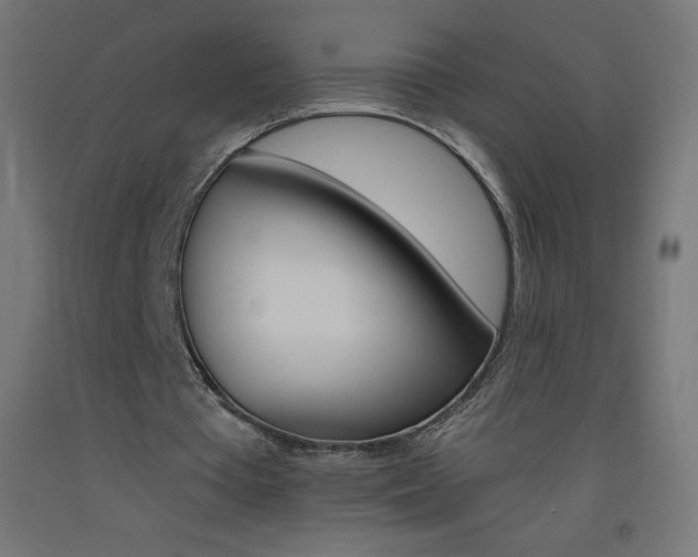 X0000093530385200710121154