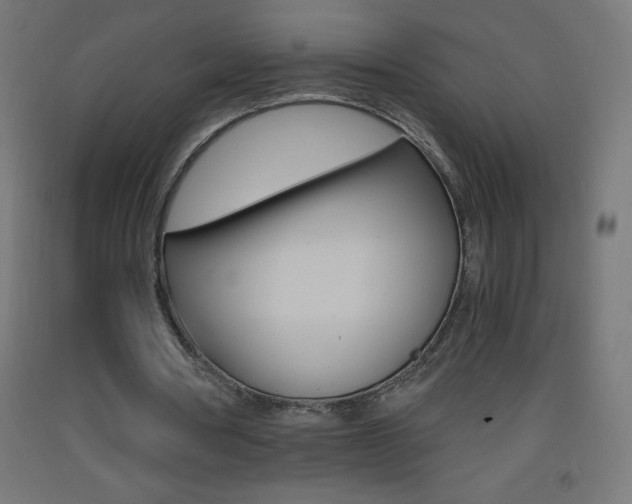 X0000093530386200710121154