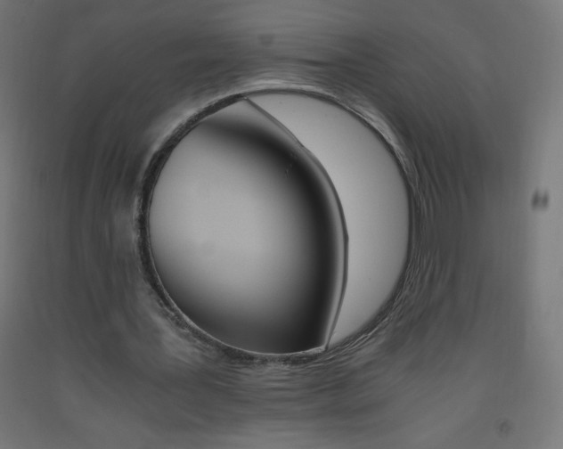 X0000093530387200710121154