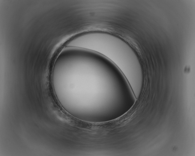 X0000093530388200710121154