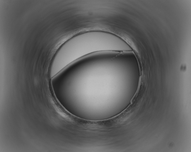 X0000093530389200710121154