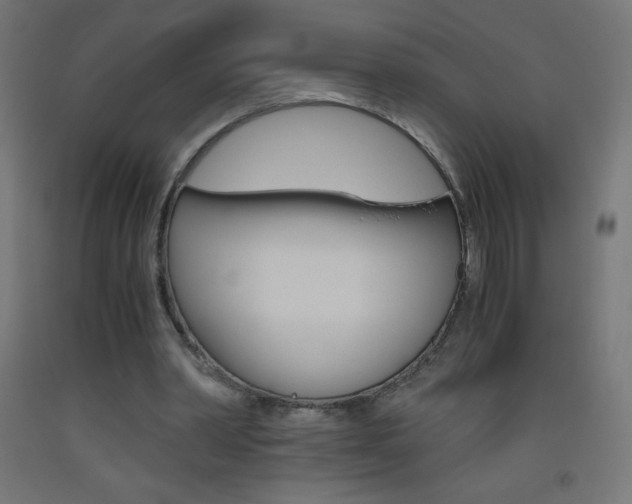 X0000093530390200710121154