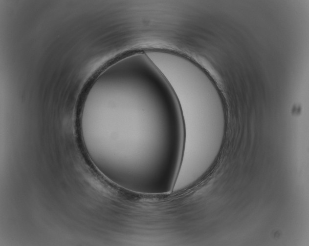 X0000093530391200710121154