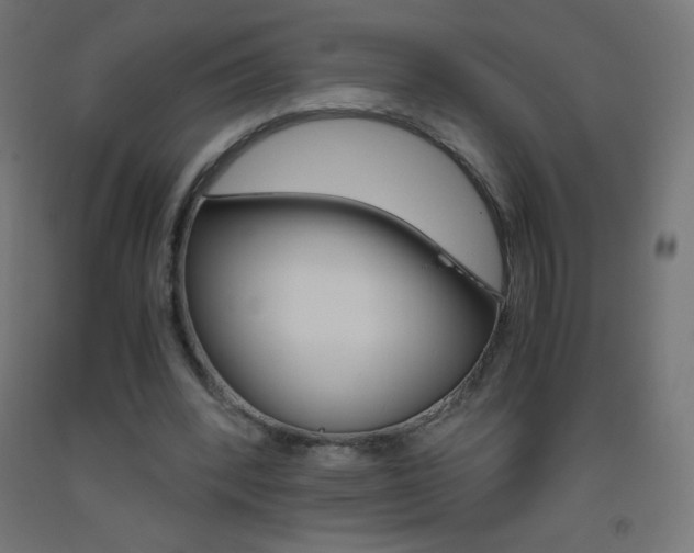 X0000093530392200710121154