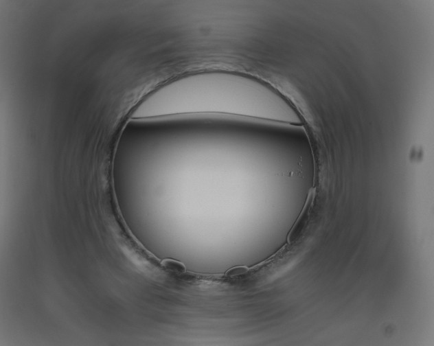 X0000093530393200710121154