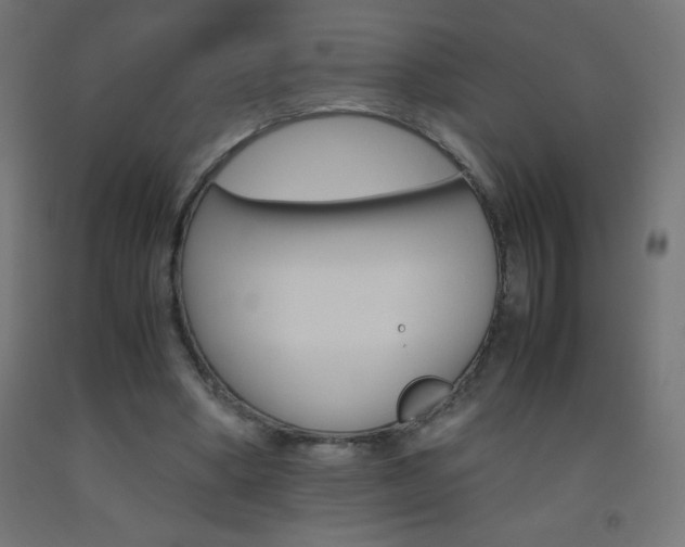 X0000093530394200710121154