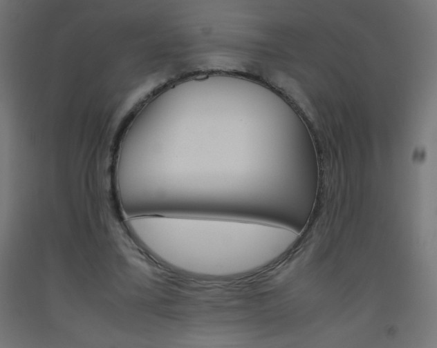 X0000093530395200710121154