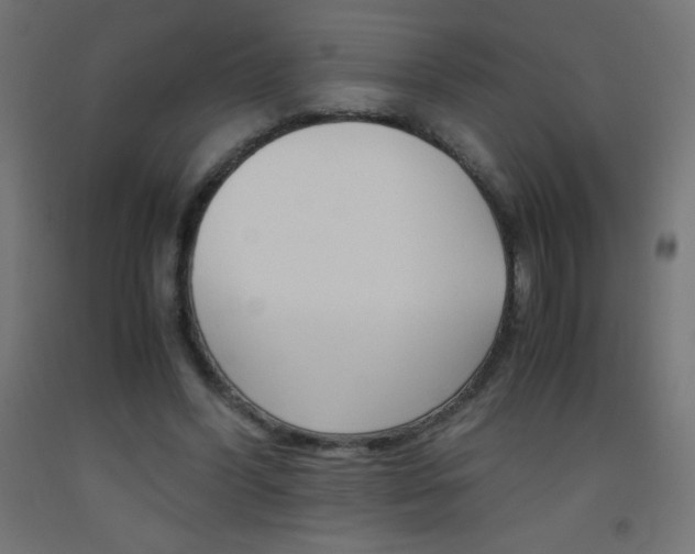 X0000093530396200710121154