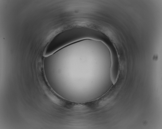 X0000093530397200710121154