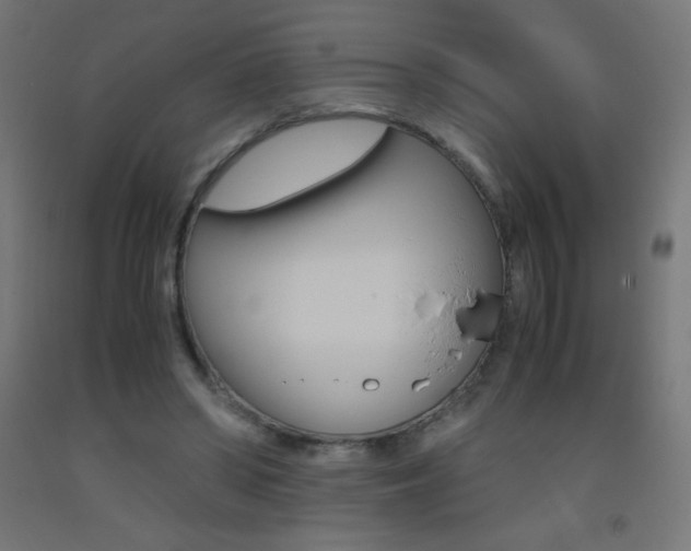 X0000093530398200710121153