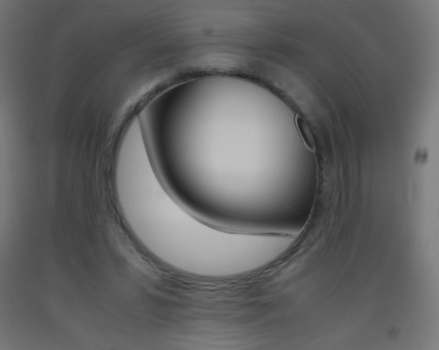 X0000093530399200710121153