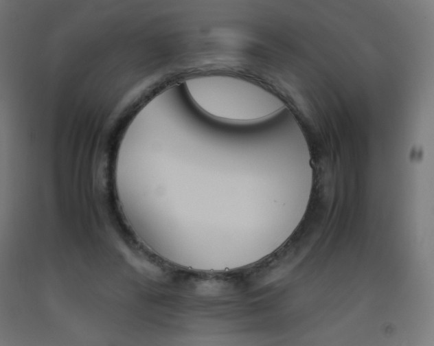 X0000093530400200710121153