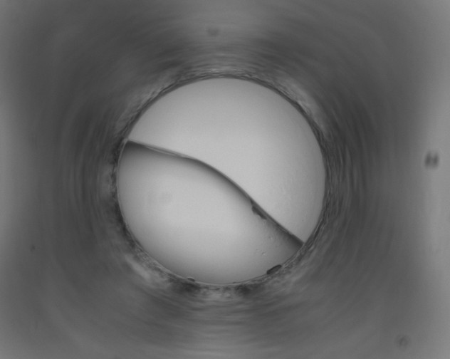 X0000093530401200710121153
