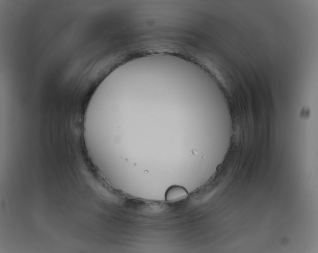 X0000093530402200710121153