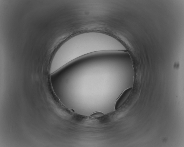 X0000093530403200710121153