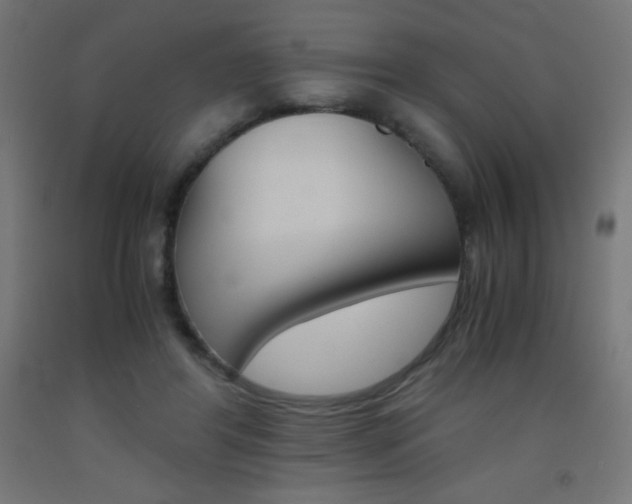 X0000093530404200710121153