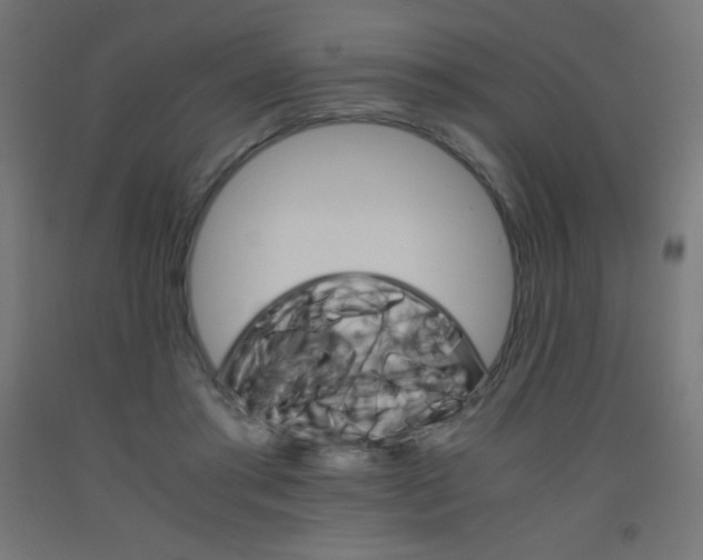 X0000093530405200710121153