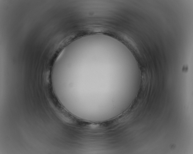 X0000093530406200710121153
