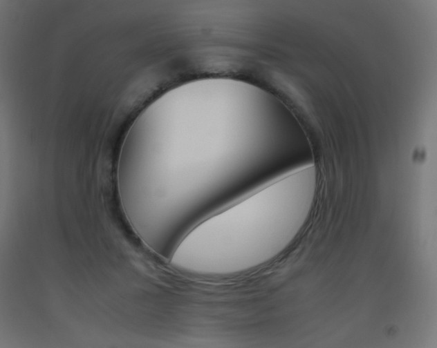 X0000093530407200710121153