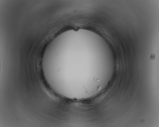 X0000093530408200710121153