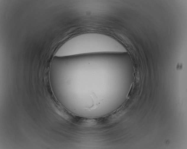 X0000093530409200710121153