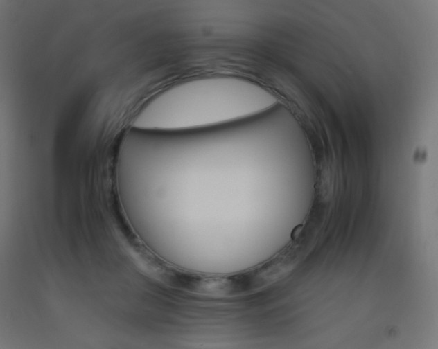 X0000093530410200710121153