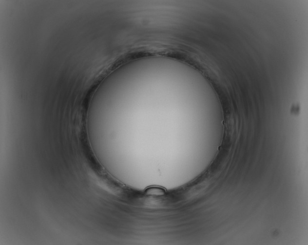 X0000093530412200710121153