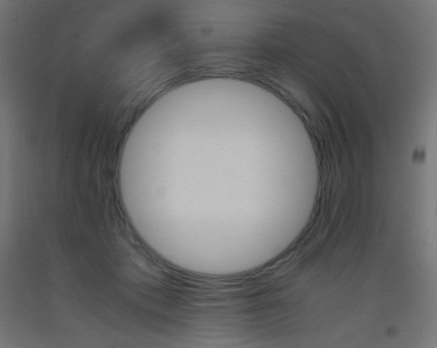 X0000093530413200710121153