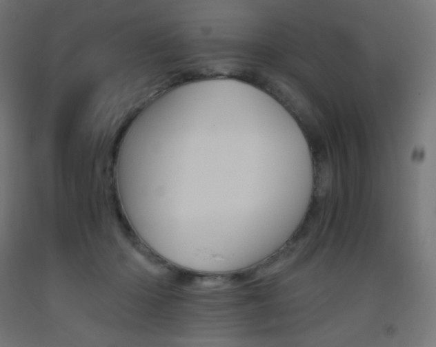 X0000093530414200710121153