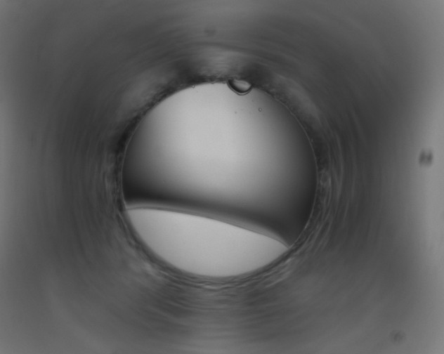X0000093530416200710121153
